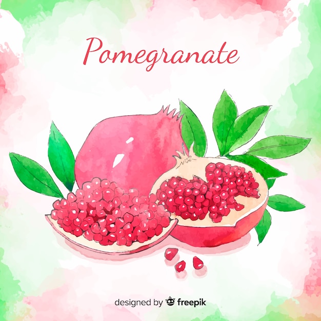 Free vector watercolor pomegranate background