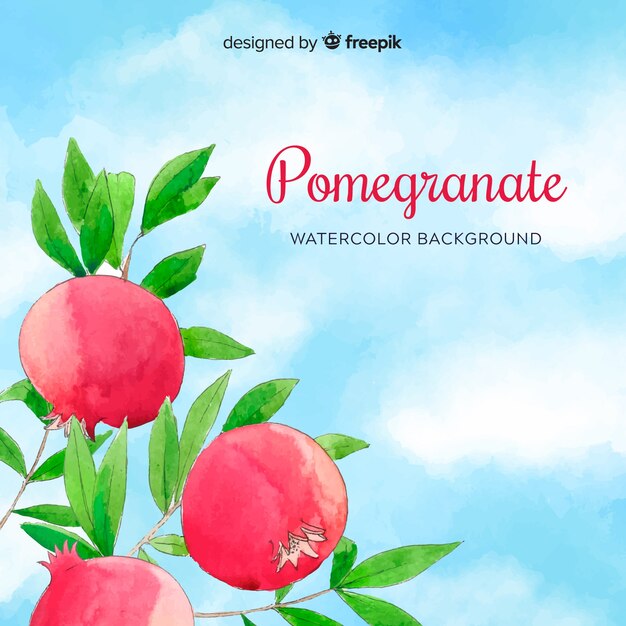 Watercolor pomegranate background