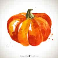 Free vector watercolor pumpkin