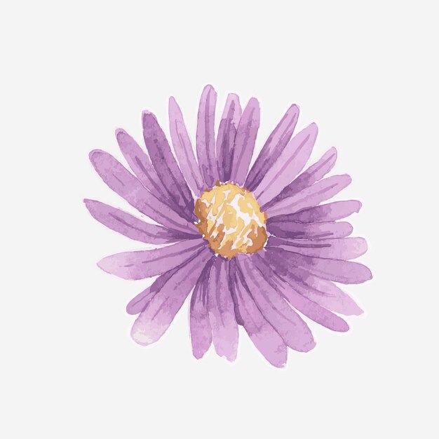 Watercolor purple daisy hand drawn sticker element
