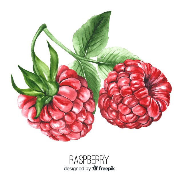 Watercolor realistic raspberry background