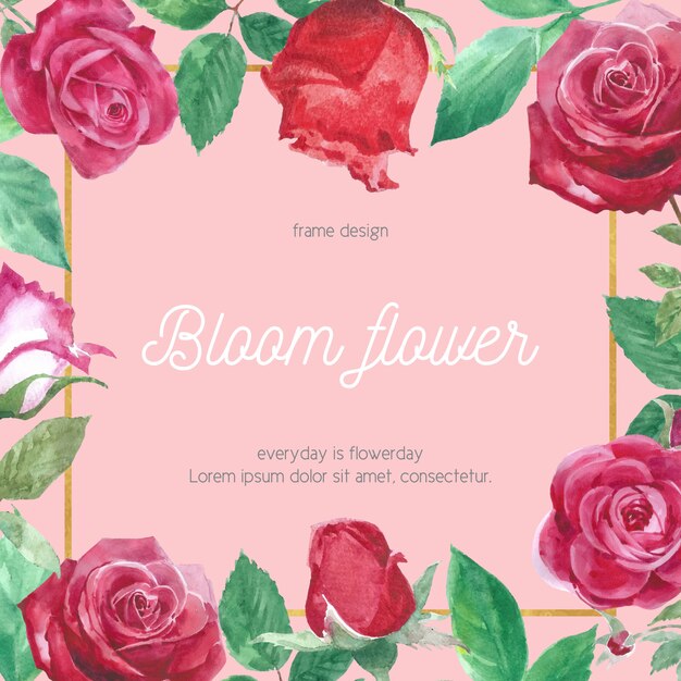 수채화 장미 꽃 카드