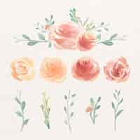 Free vector watercolor rose set