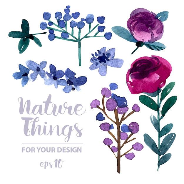 Free vector watercolor roses collection