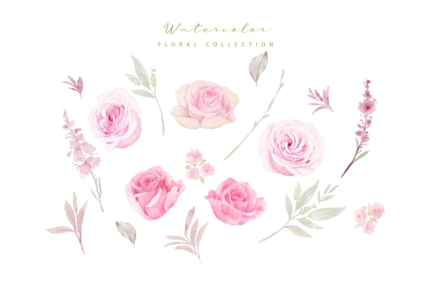 Watercolor roses collection