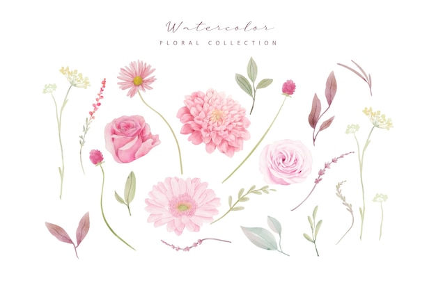 Watercolor roses, dahlia and gerbera flowers collection