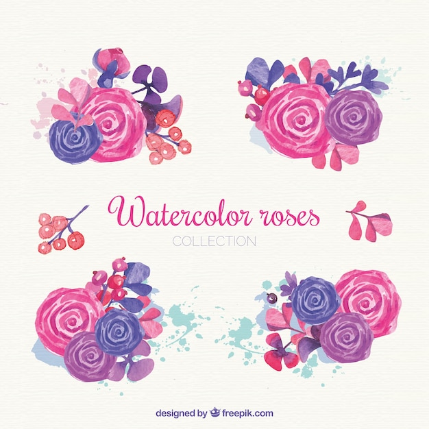 Watercolor roses in pink and purple tones