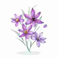 Free vector watercolor saffron flower illustration