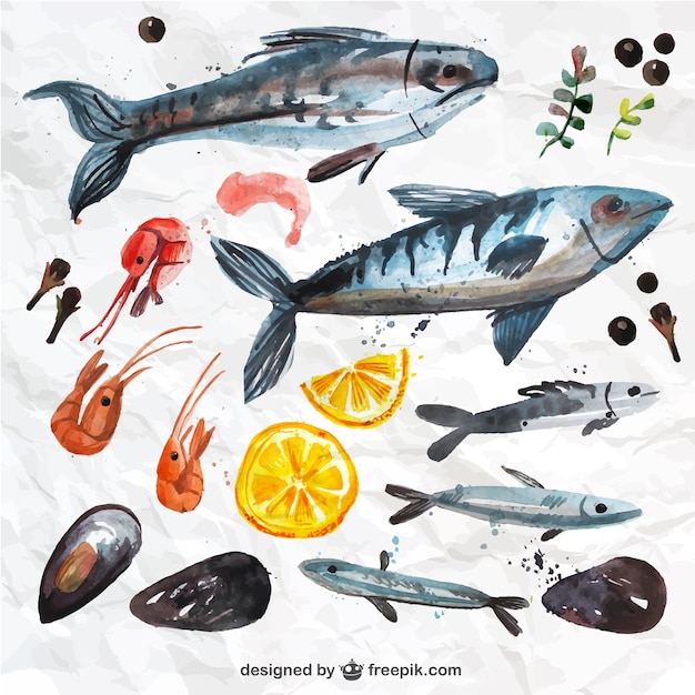 Watercolor seafood