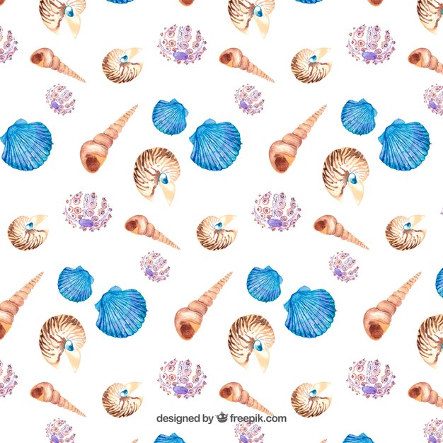 Watercolor seashell pattern