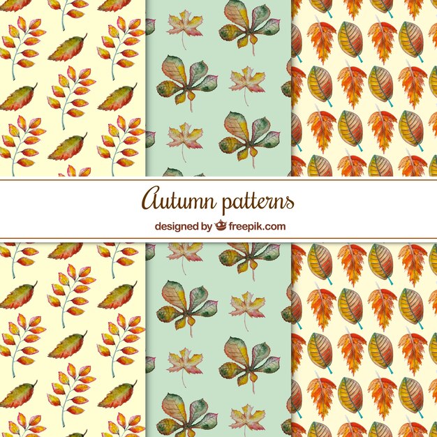 Watercolor set of lovely autumnal  patterns