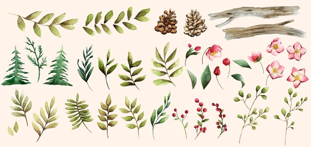 水彩画の葉 画像 無料のベクター ストックフォト Psd