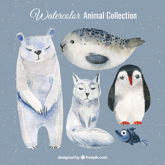 Free vector watercolor set of polar animals