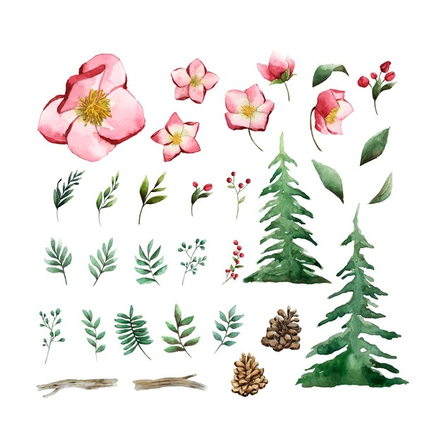 Акварельный набор зимних цветов и листьев вектор