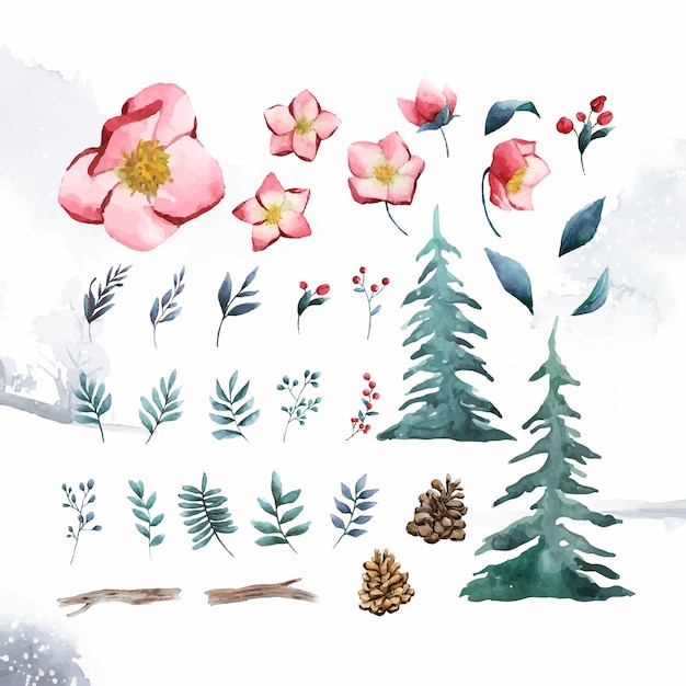 Free vector watercolor set of winter flowers and leaves vector