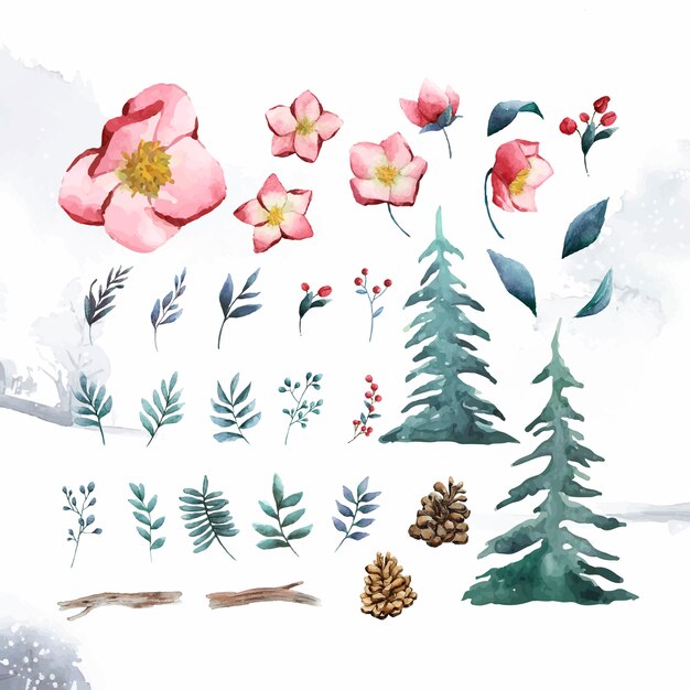 Watercolor set of winter flowers and leaves vector