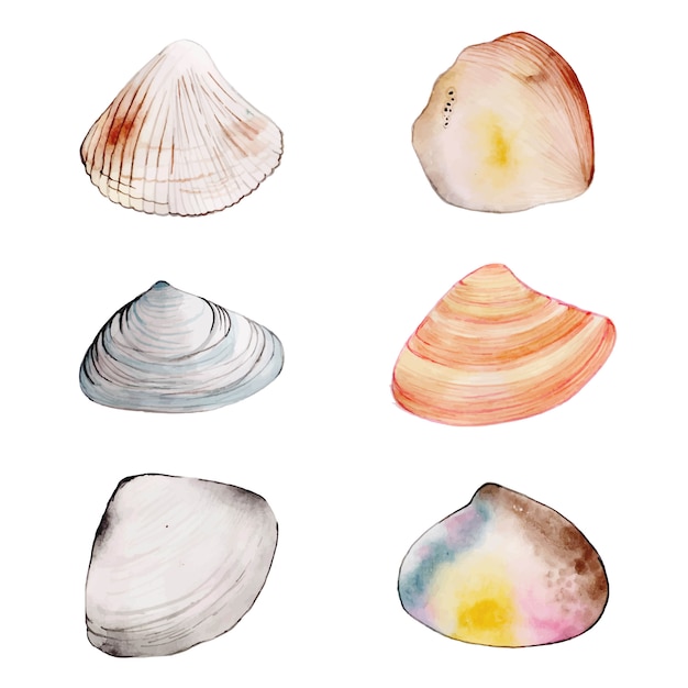 Free vector watercolor shells collection