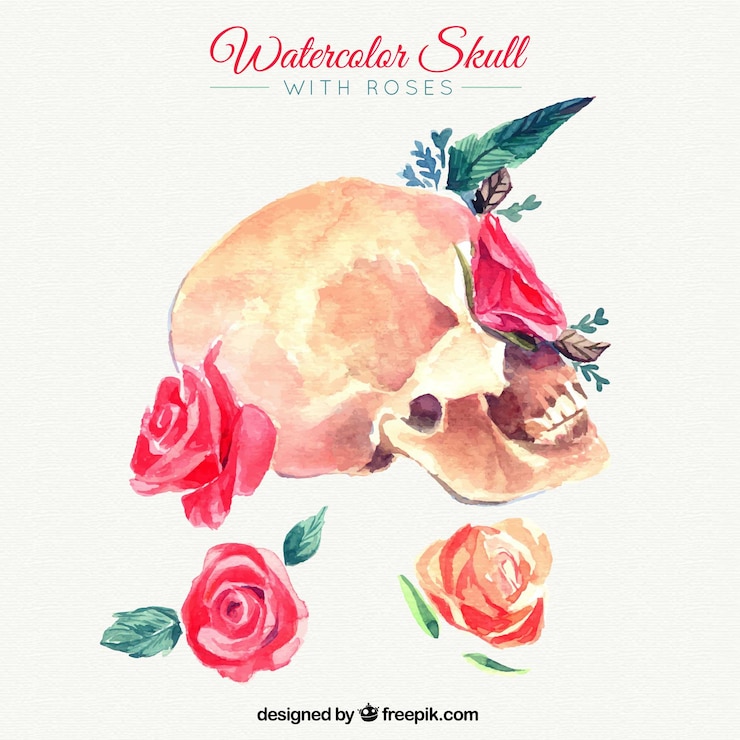 Free Vector watercolor skull with roses