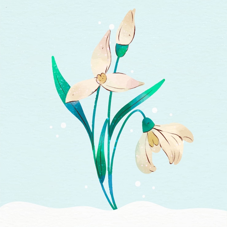Free Vector watercolor snowdrop illustration