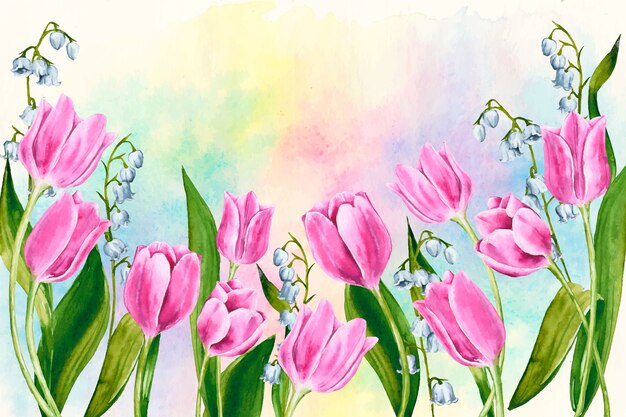Watercolor spring background with colorful tulips