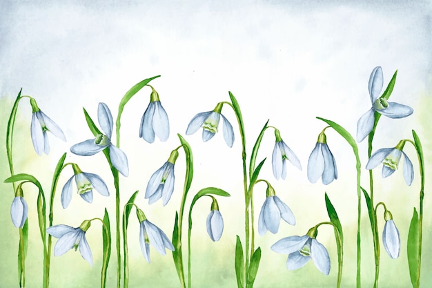 Watercolor spring background with snowdrops