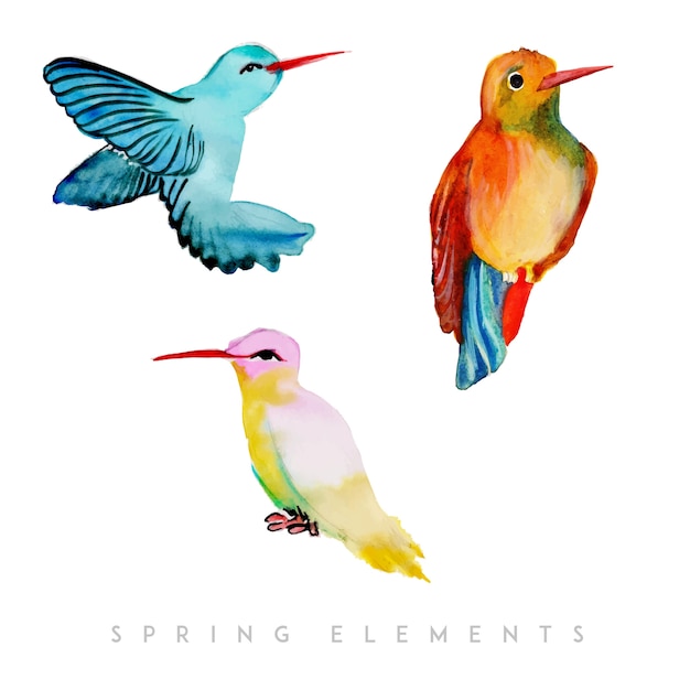 Watercolor Spring Bird Collection