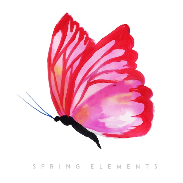 Watercolor Spring Butterfly