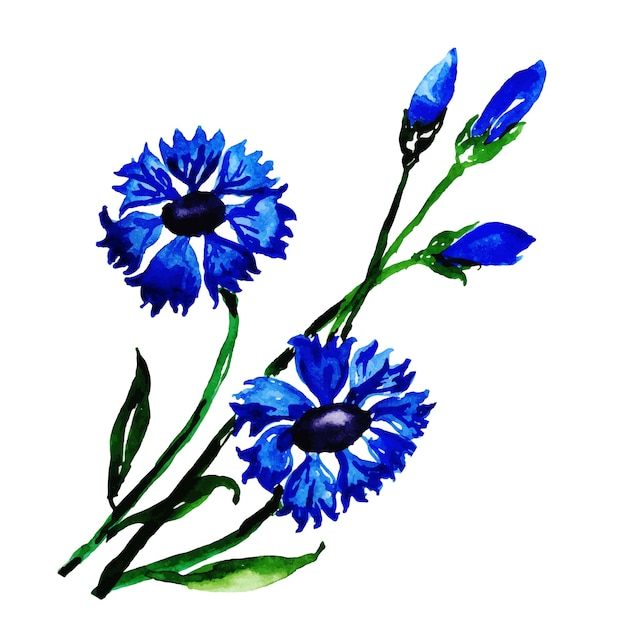 Бесплатное векторное изображение Акварельная весенняя цветочная коллекция