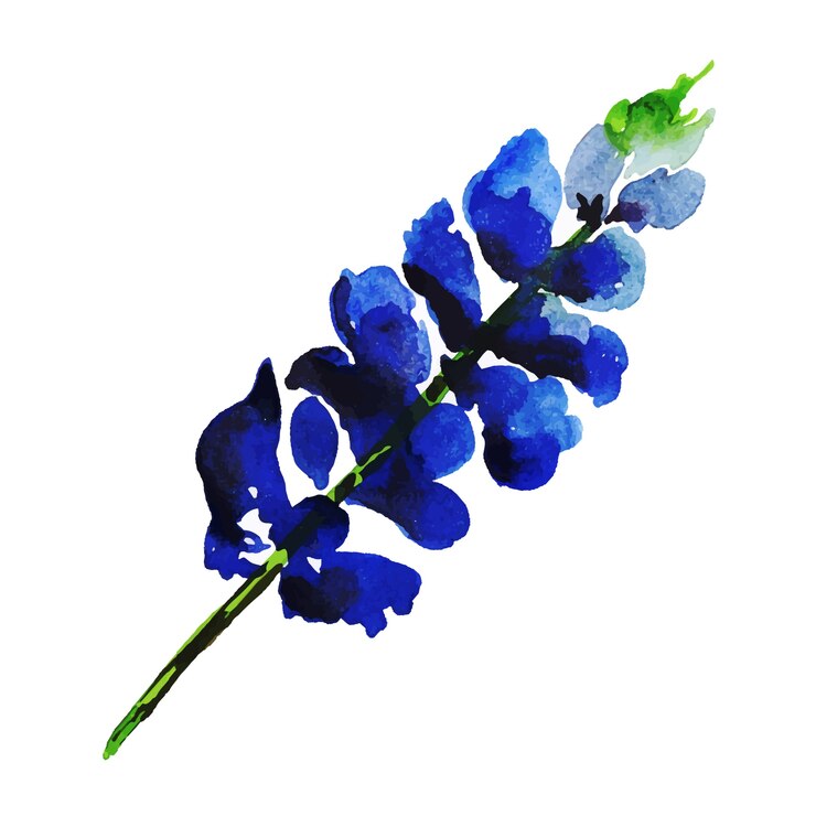Free Vector watercolor spring floral collection