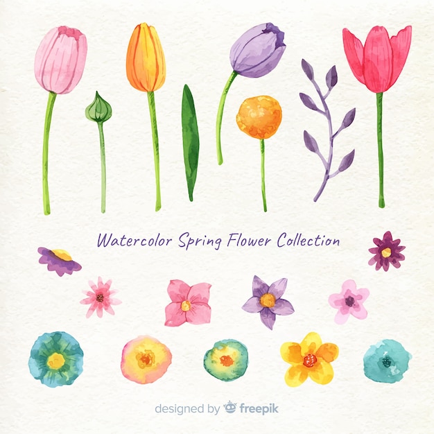 Watercolor spring floral collection