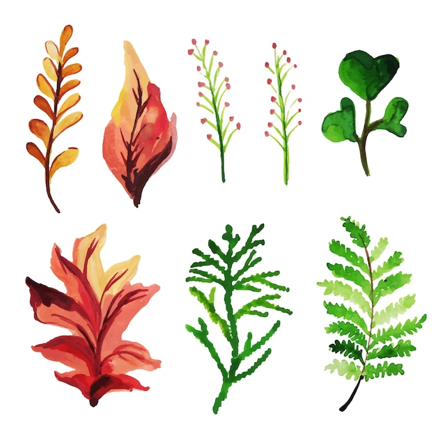 Free vector watercolor spring floral and leaves collection