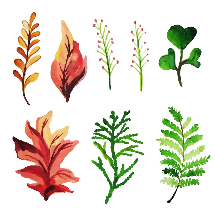 Free Vector watercolor spring floral and leaves collection