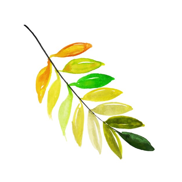 Free Vector watercolor spring floral and leaves collection
