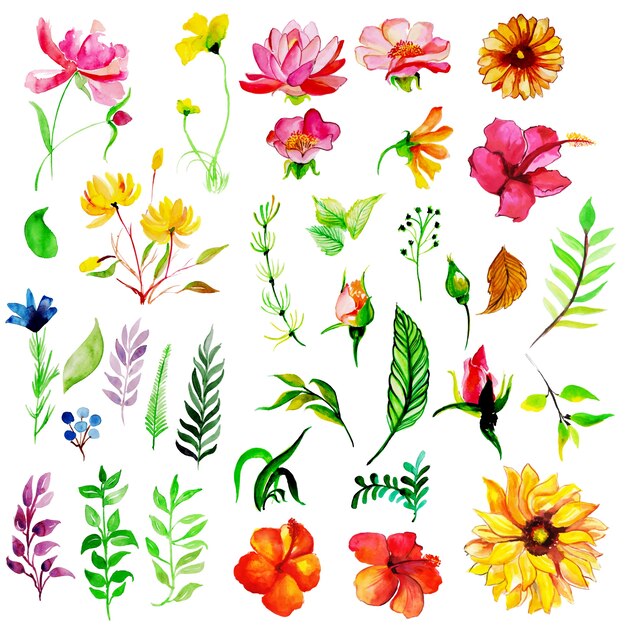 Watercolor Spring Floral and Leaves Collection