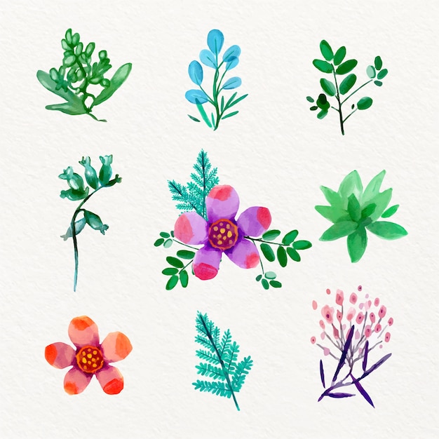 Watercolor spring flower collection design