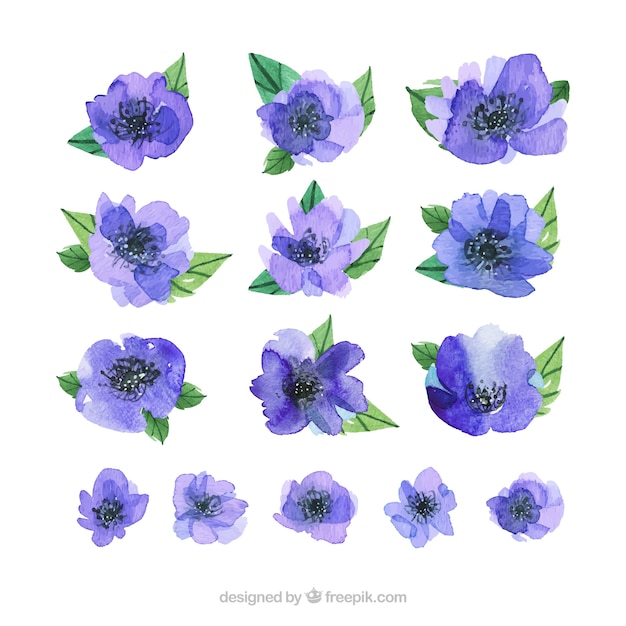 Free vector watercolor spring flower collection