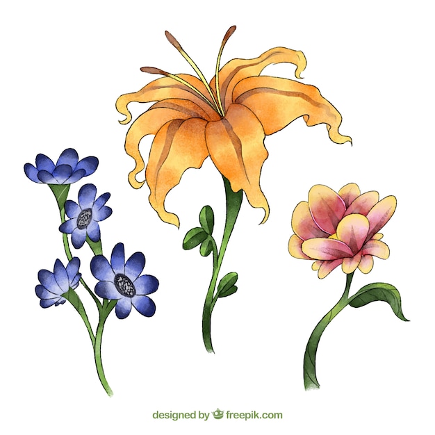 Free vector watercolor spring flower collection