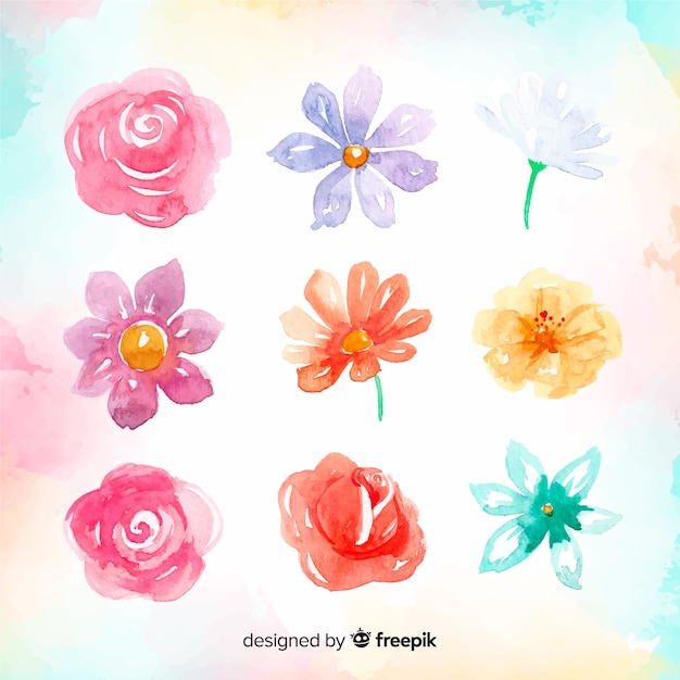 Free vector watercolor spring flower collection