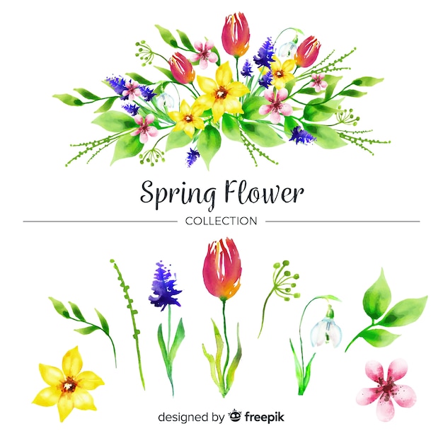 Бесплатное векторное изображение Коллекция акварелей весенних цветов