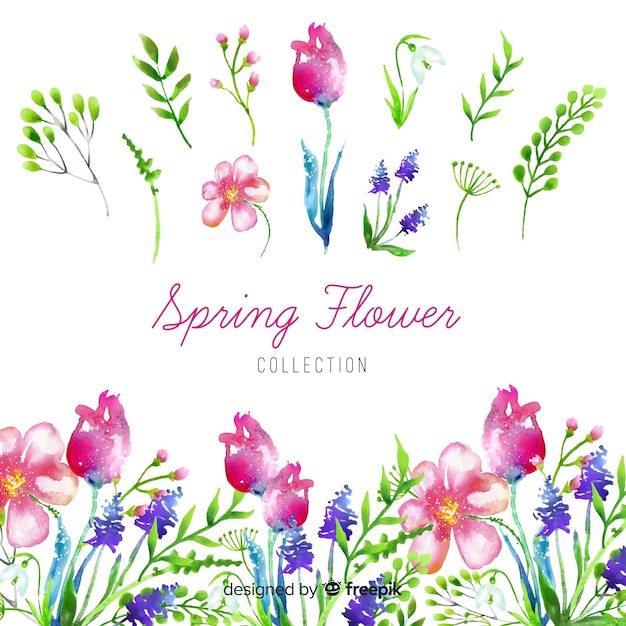 Free vector watercolor spring flower collection