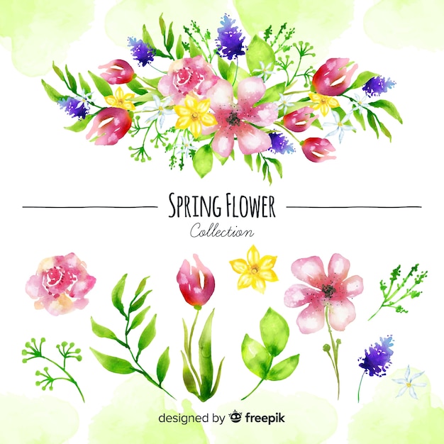 Vettore gratuito collezione di fiori primaverili ad acquerello