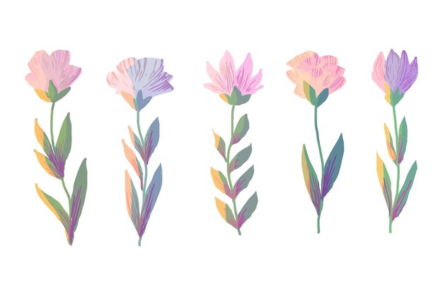 Watercolor spring flower collection