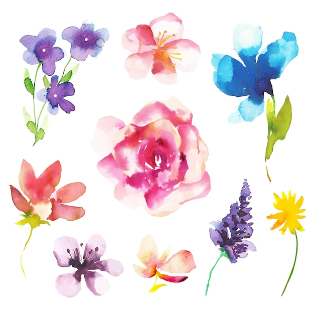 Free vector watercolor spring flower collection