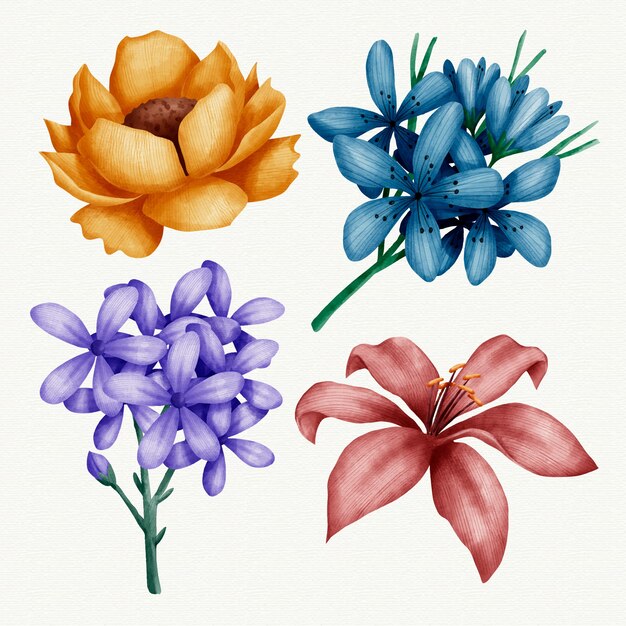 Watercolor spring flower collection