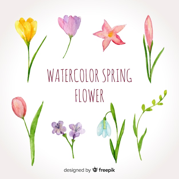 Free vector watercolor spring flower pack