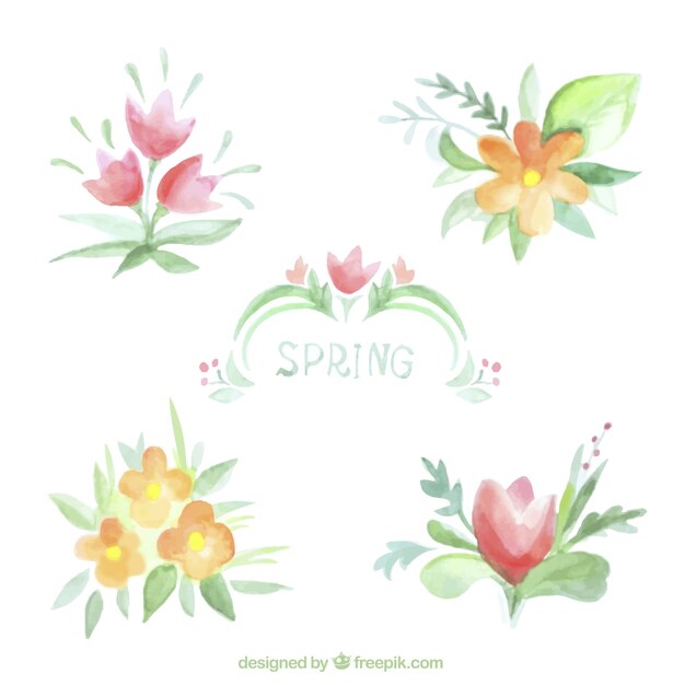 Fiori primaverili acquerello