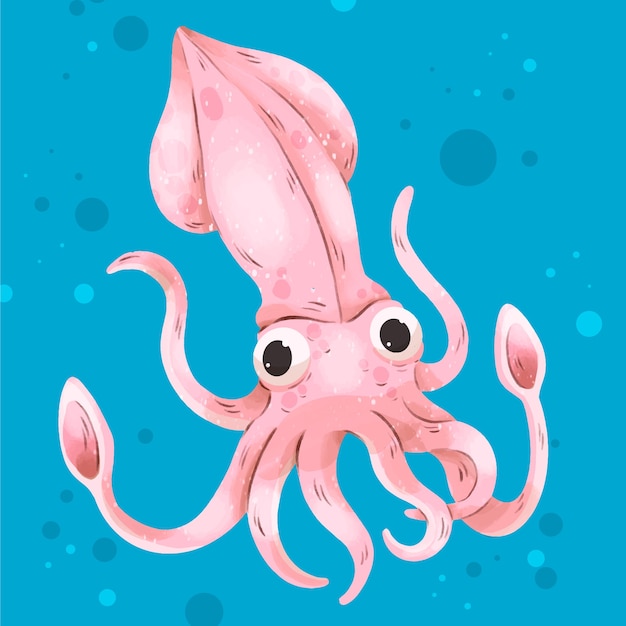 Watercolor squid illustration