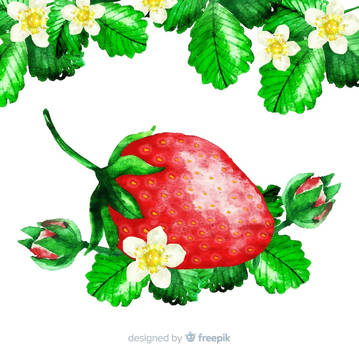 Free Vector watercolor strawberry