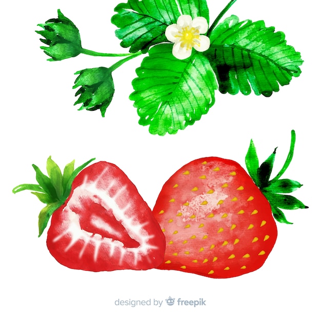 Watercolor strawberry