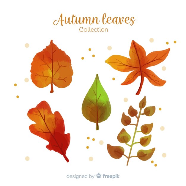 watercolor style autumn leaves collection